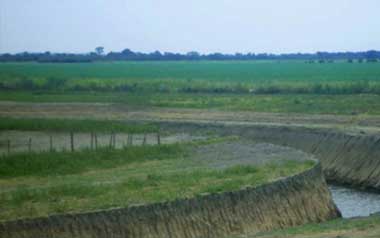 Foto-de–campo_06
