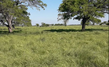 Foto-de–campo_12