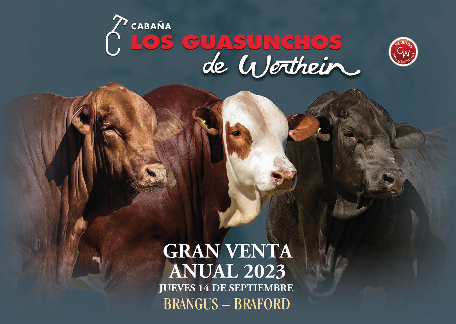 Catálogo Los Guasunchos 2023